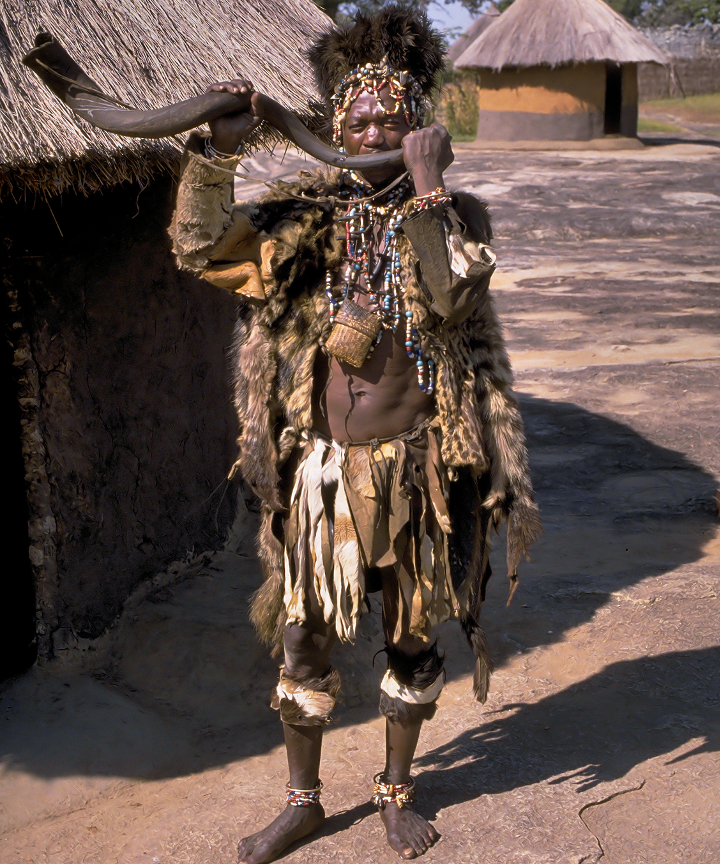  Trusty Witch Doctor 